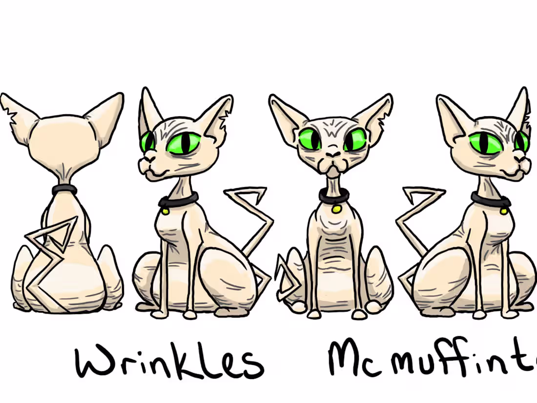 Cover image for Sphynx Cat Character Turnaround