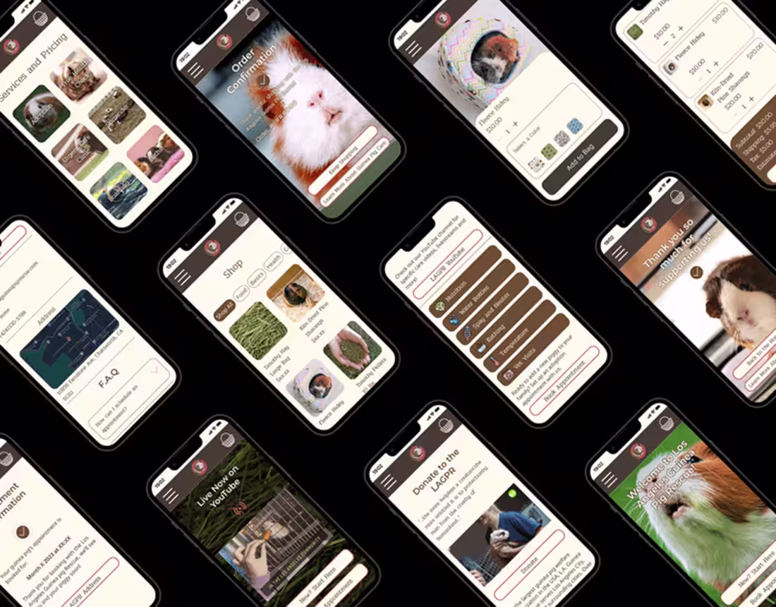 Cover image for Los Angeles Guinea Pig Rescue Website Redesign on Behance