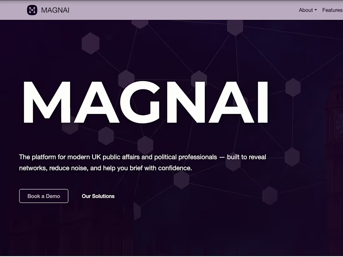 Cover image for Magnai | UK Public Affairs