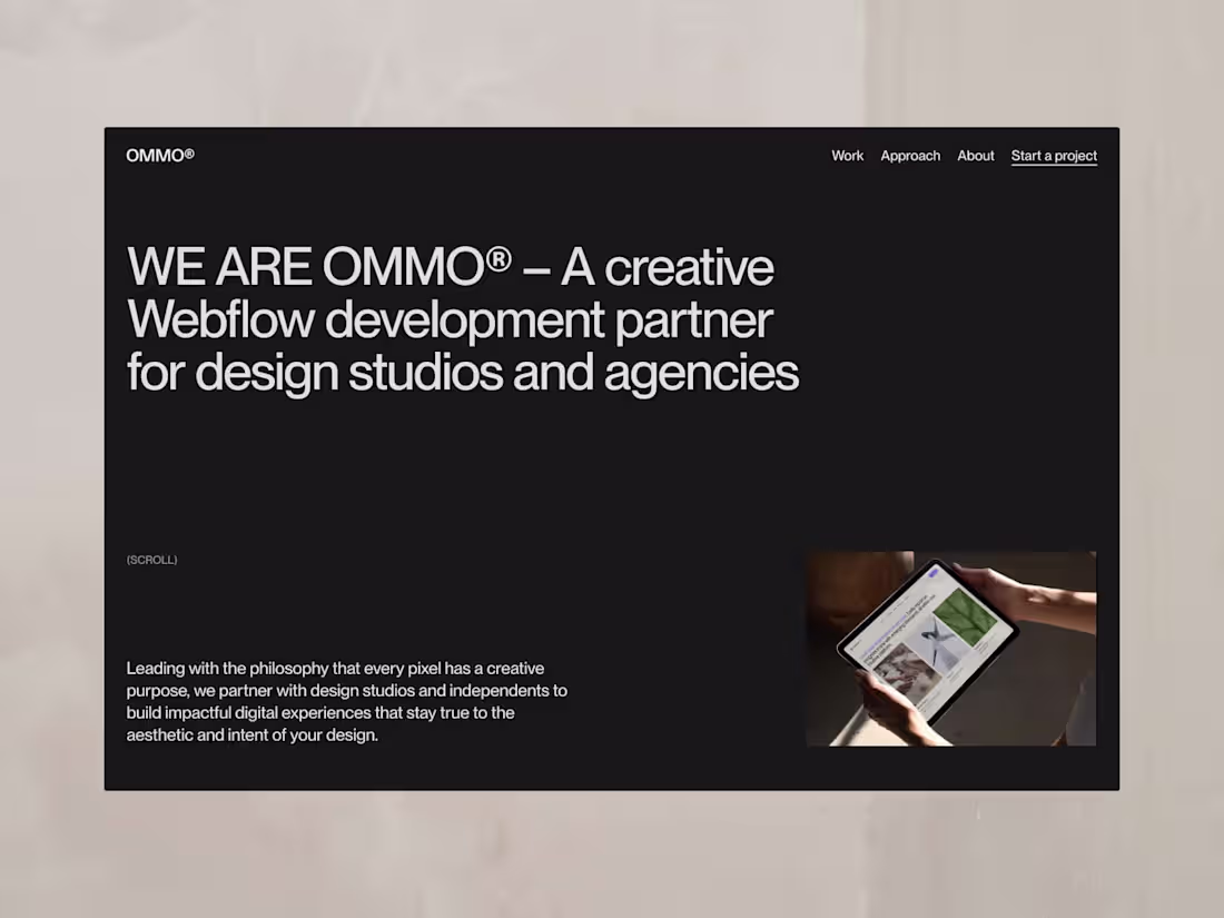 Cover image for Webflow Development