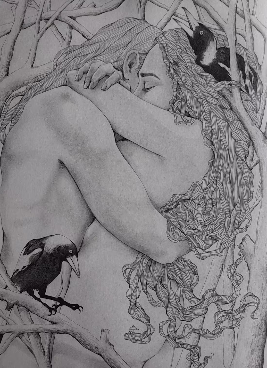 Cover image for Magpies