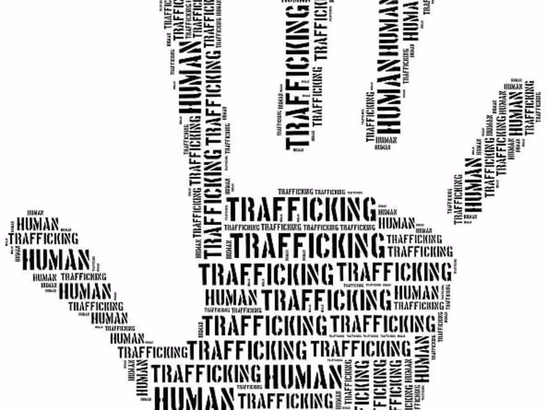 Cover image for Human Trafficking