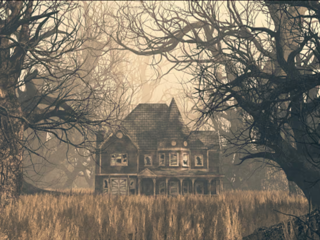 Cover image for Old Lady 