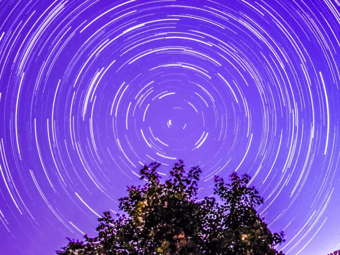 Cover image for Custom AI / Machine Learning / Prediction Model