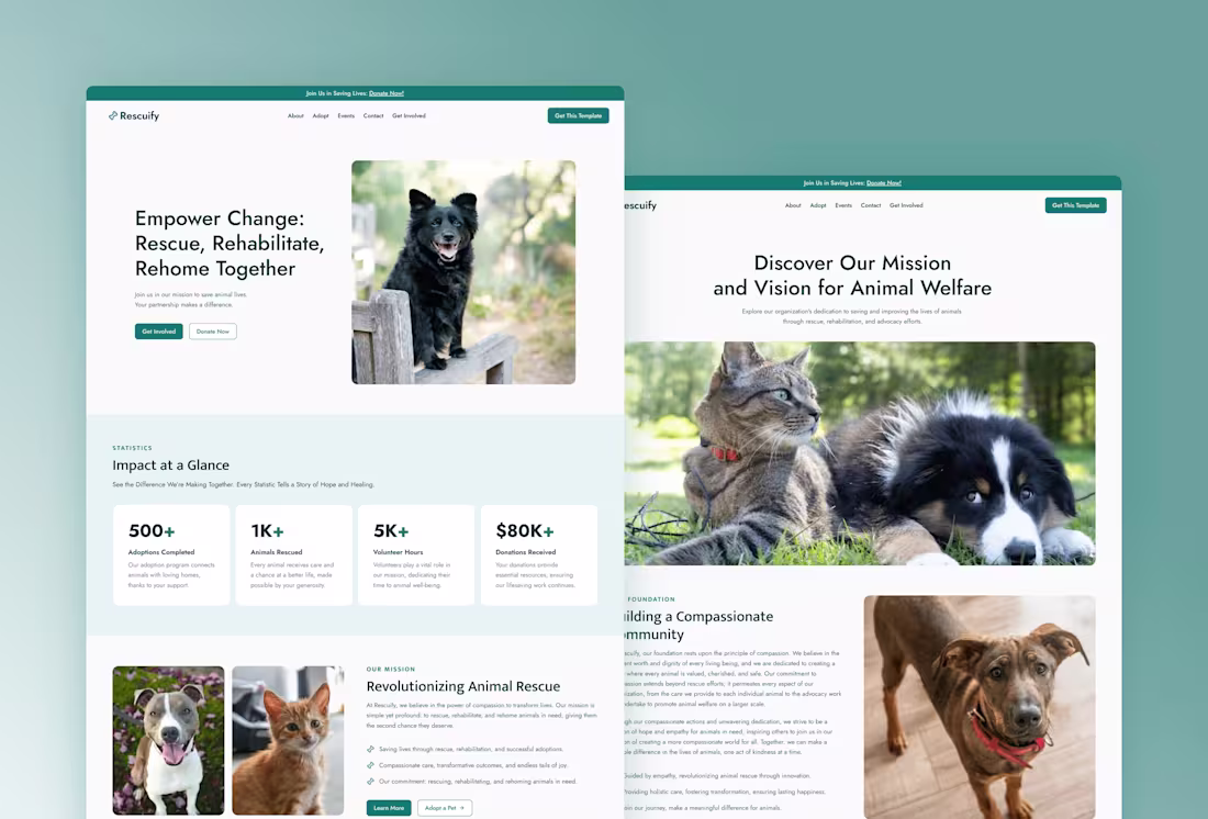 Cover image for Rescuify — Framer Non-Profit Website
