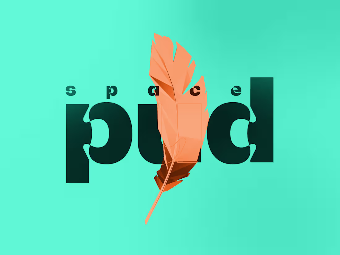 Cover image for Spacepud