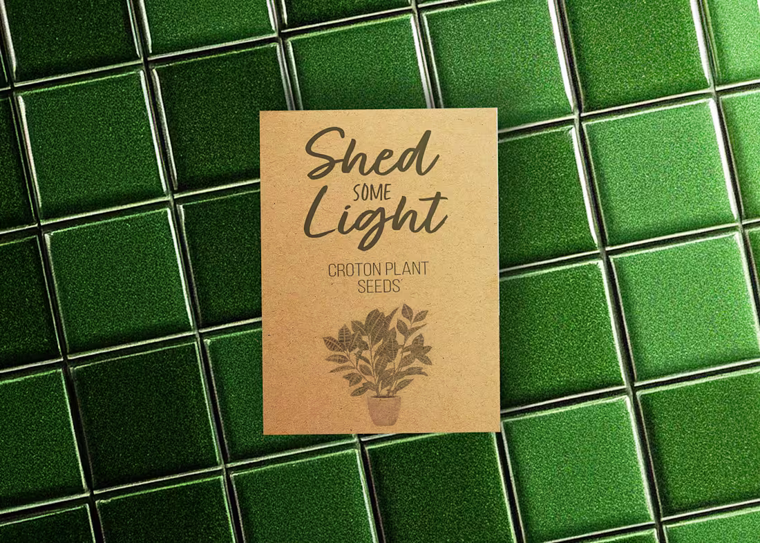 Cover image for Blinds.com