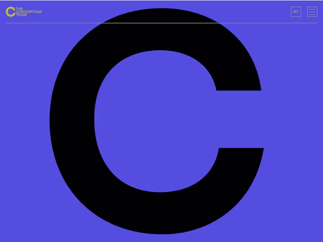 Cover image for The Consortium Team