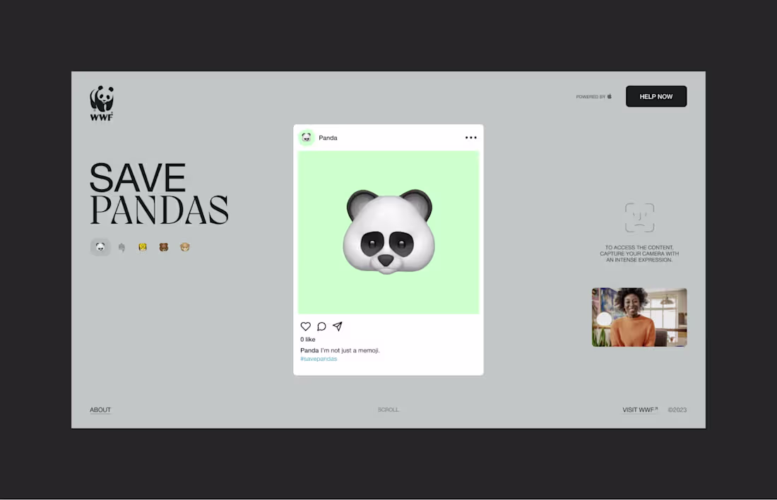 Cover image for WWF Web campaign concept