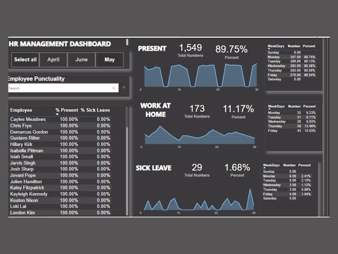 Cover image for HUMAN RESOURCES DASHBOARD