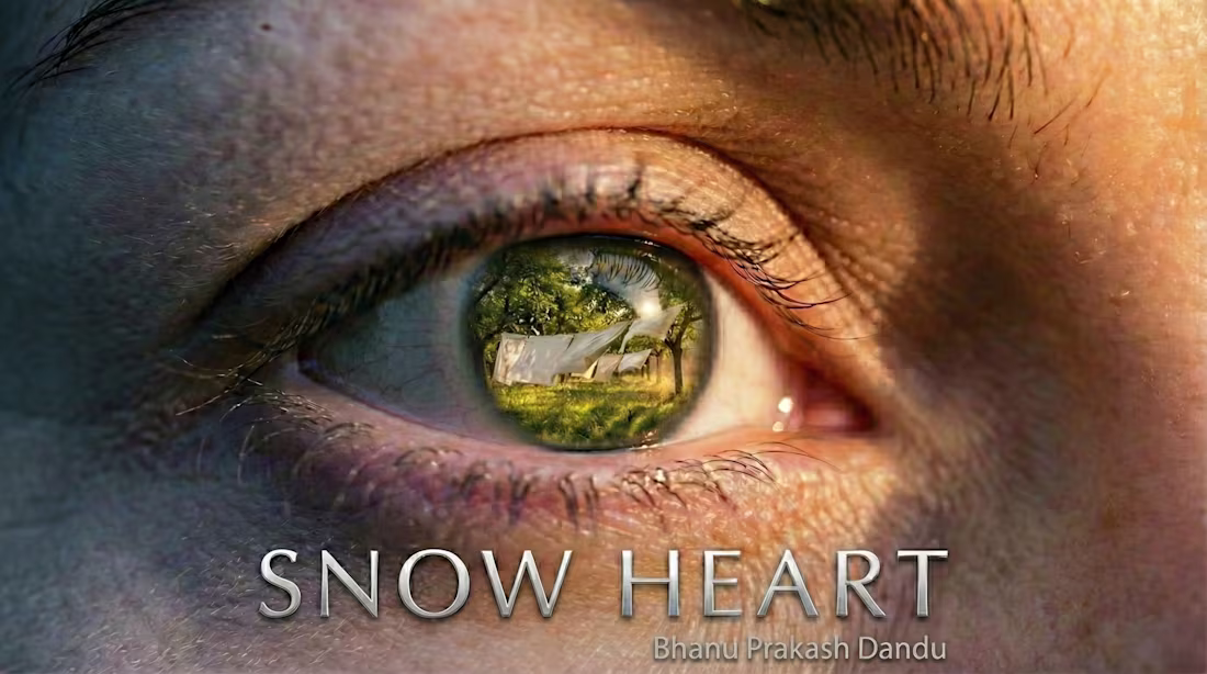 Cover image for In the cold, blue twilight