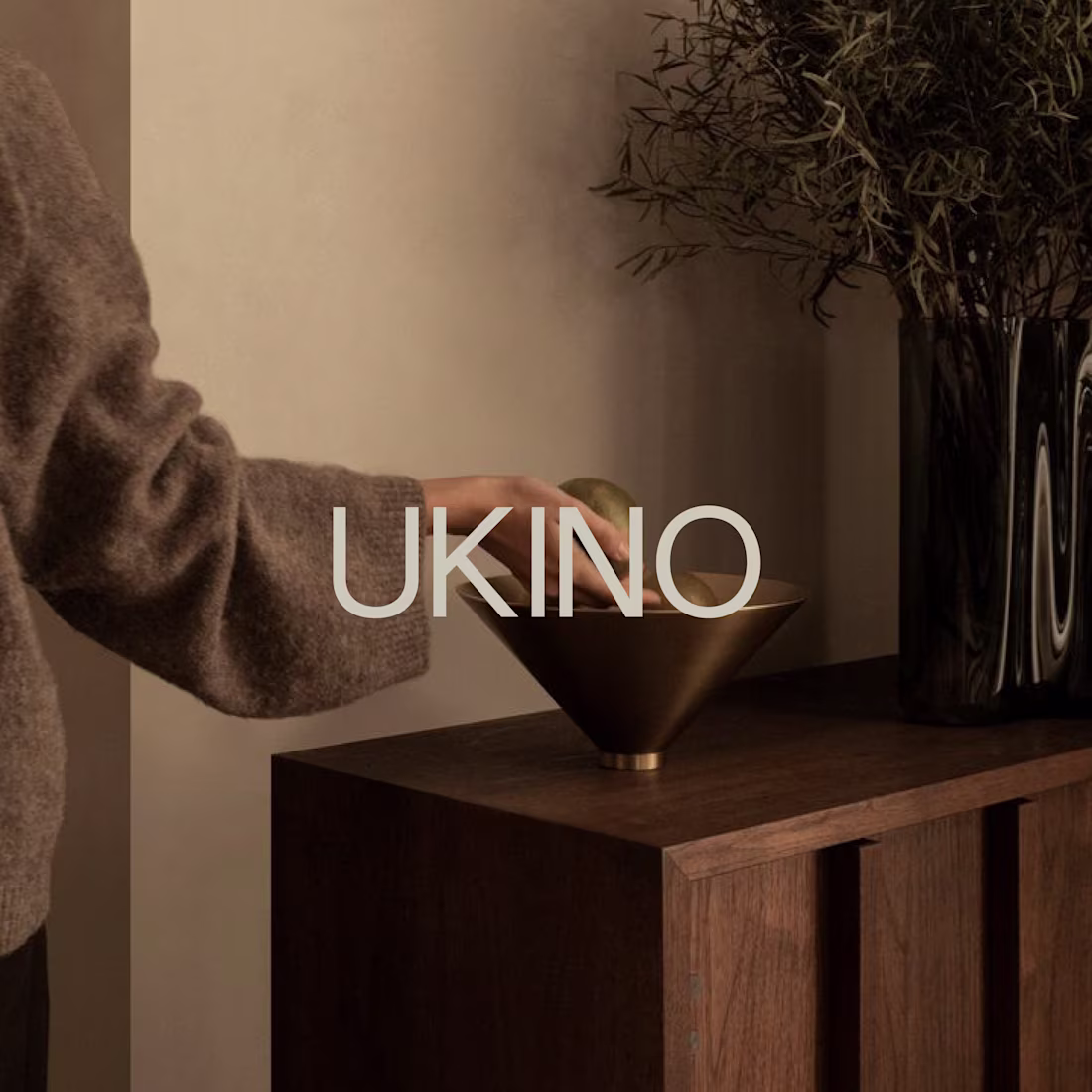 Cover image for UKINO Web Design