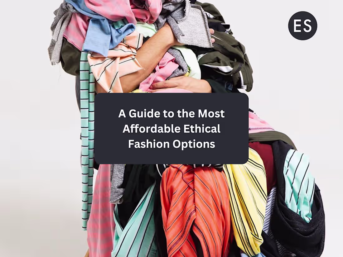 Cover image for Sustainable Fashion Company