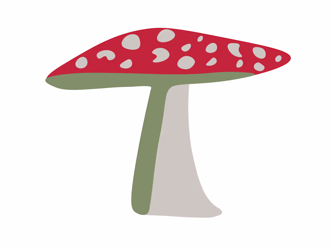 Cover image for visuals