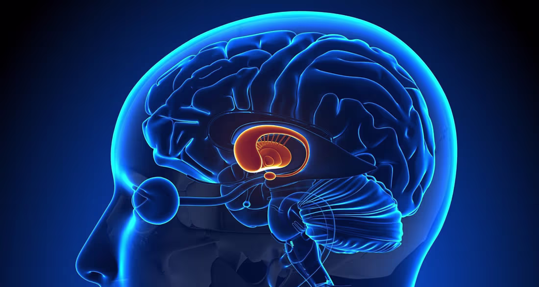 Cover image for Parkinson’s Disease: Causes, Symptoms, and Stages