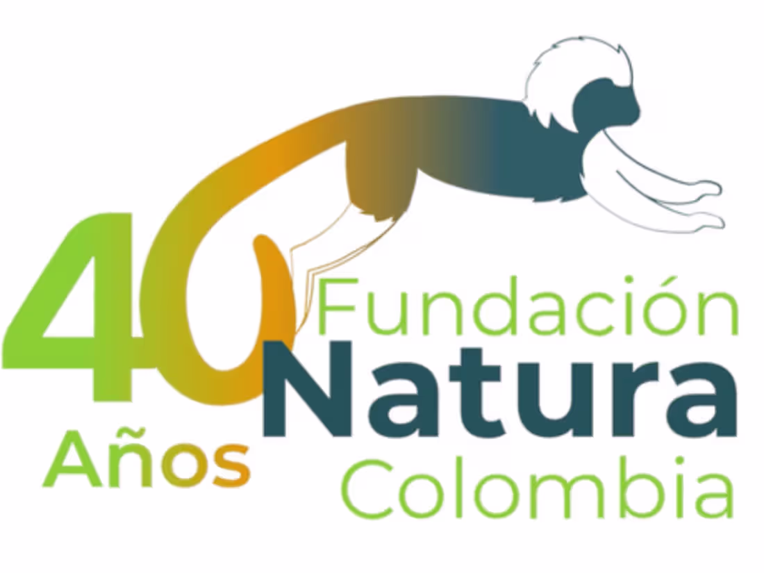Cover image for Natura Foundation
