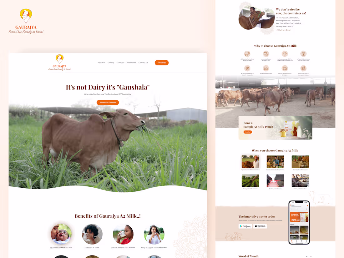 Cover image for Gaurajya- It's not Dairy it's "Gaushala"