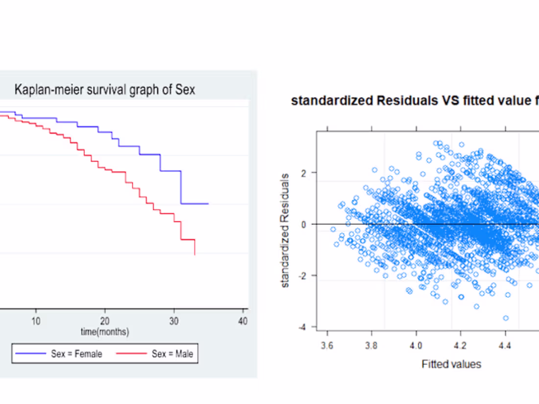 Cover image for Data entry and statistical data analysis