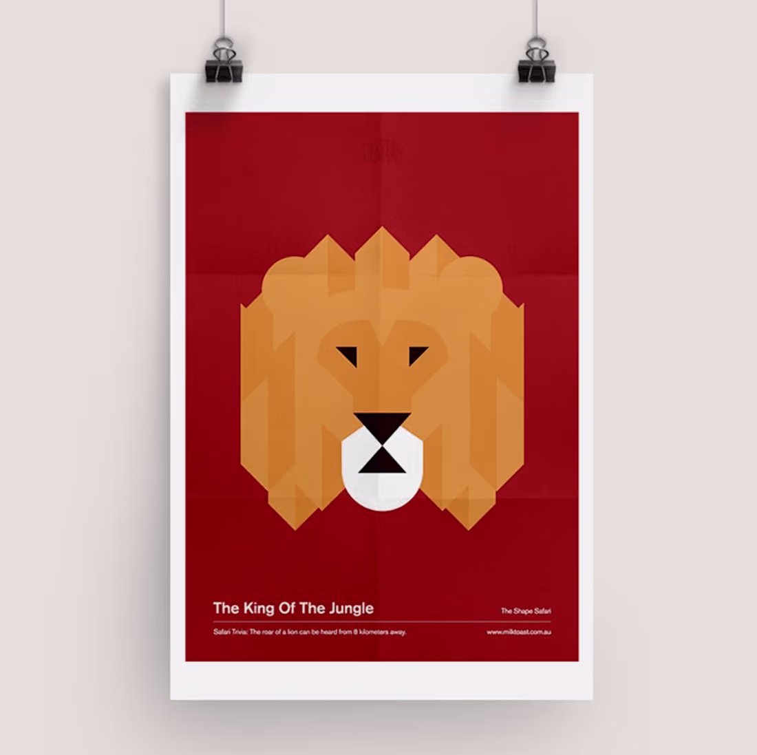 Cover image for The Shape Safari