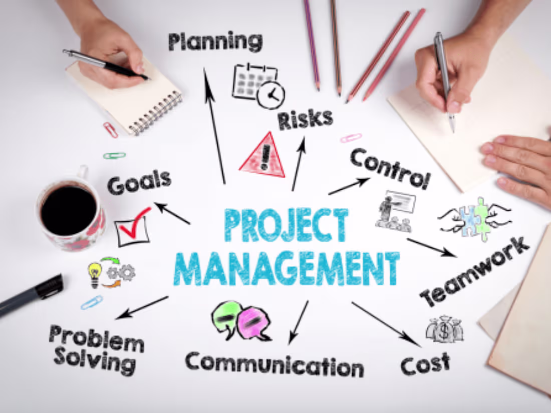Cover image for Program Project Management