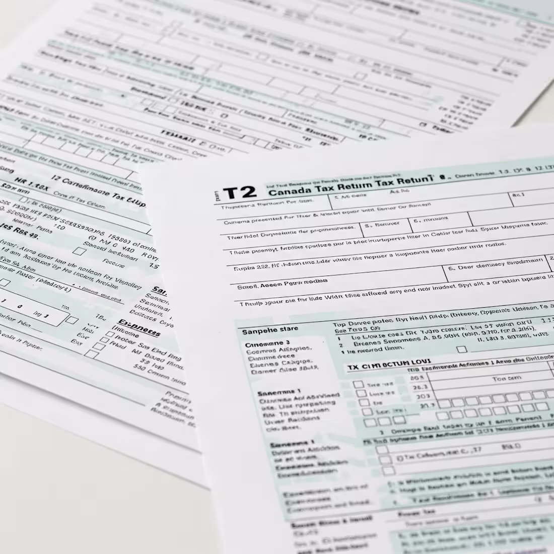 Cover image for  100+ corporate tax returns (T2) for Canadian businesses