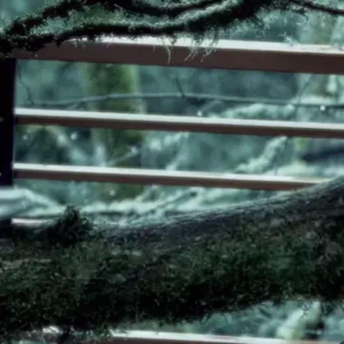 Cover image for Most Popular