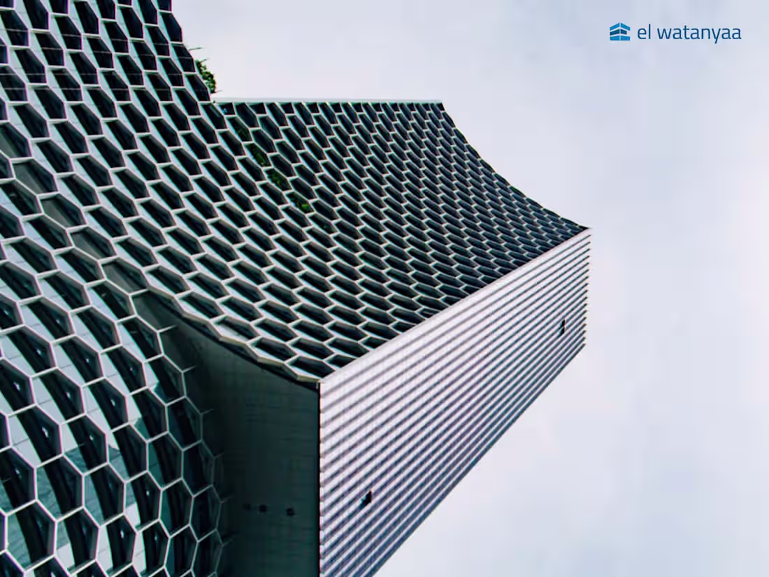 Cover image for El Watanyaa | WordPress, Custom Design, Portfolio & Services