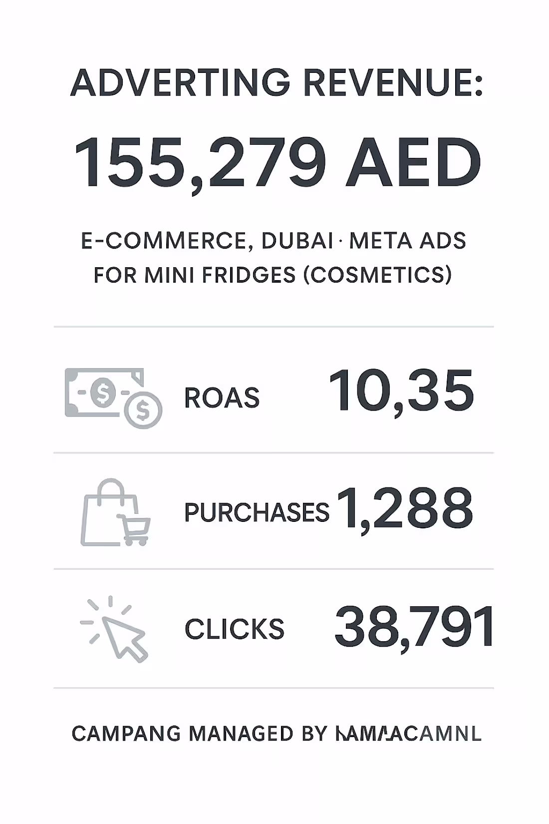 Cover image for Scaling an E-commerce Brand with Strategic Marketing