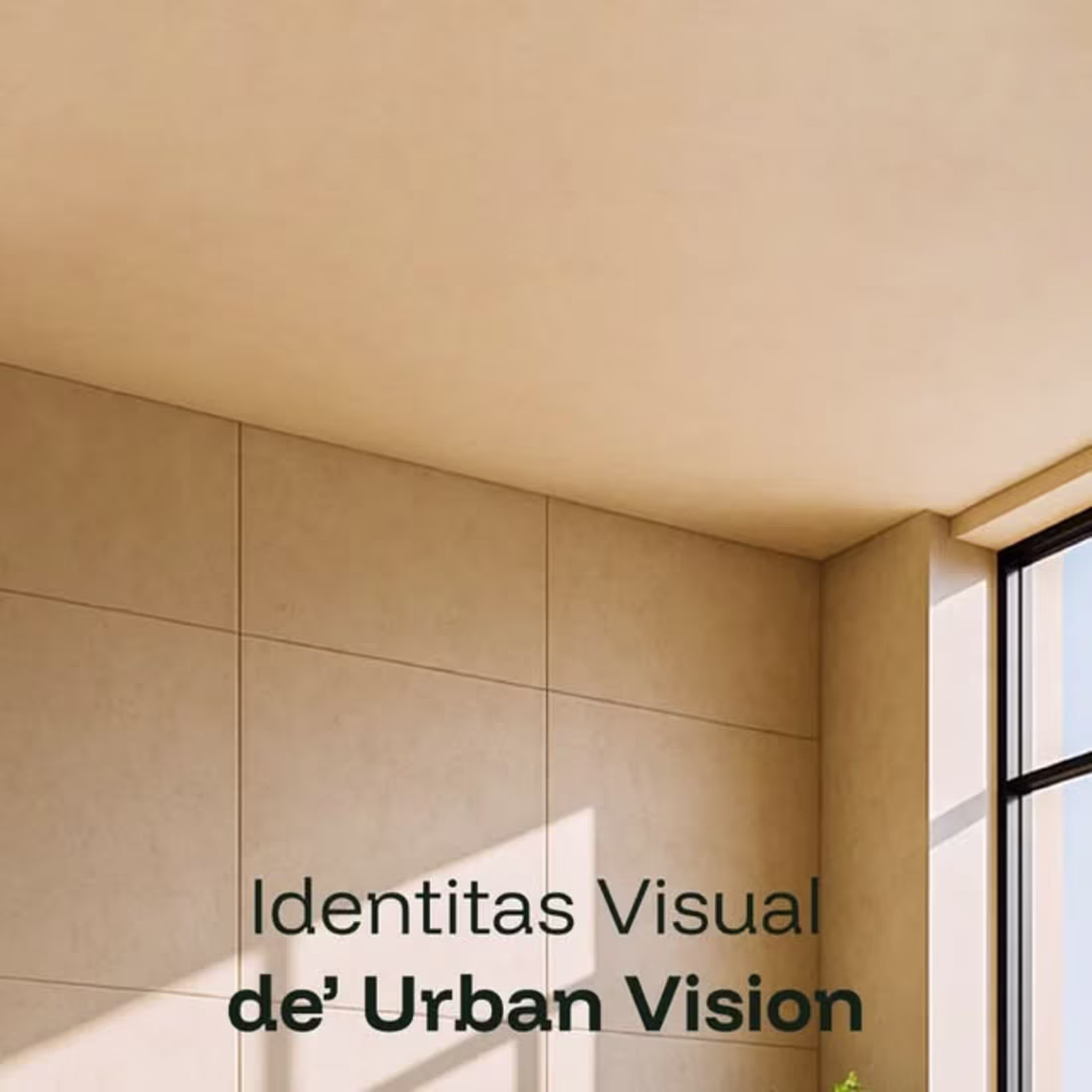 Cover image for De Urban Vision Brand Guidelines Project