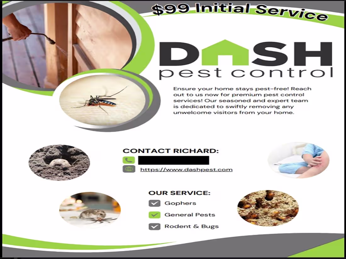 Cover image for Pest Control Flyer