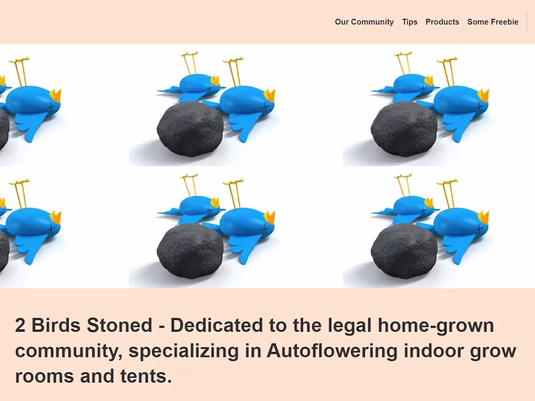 Cover image for Ajendu - Landing Page