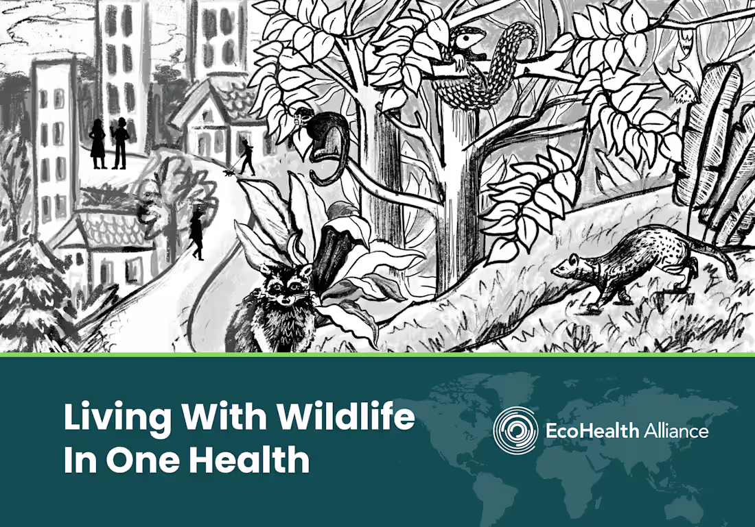 Cover image for Pitch Deck Design | Presentation Designs