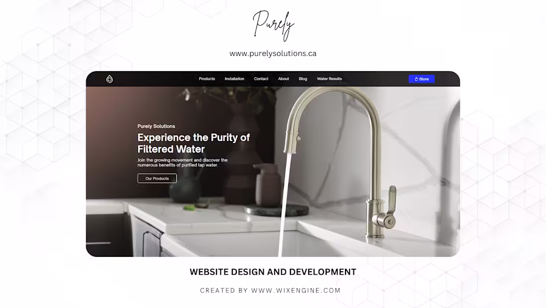 Cover image for WIX website design and development