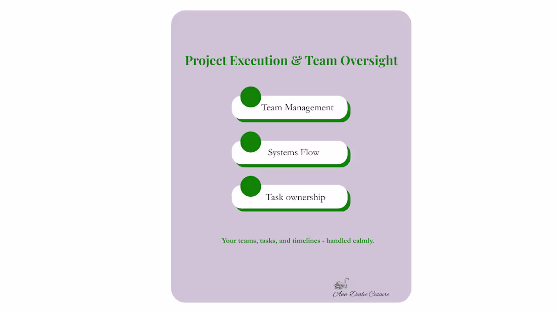 Cover image for Project Execution & Team Oversight