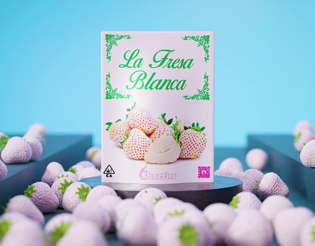 Cover image for Logo Animation 