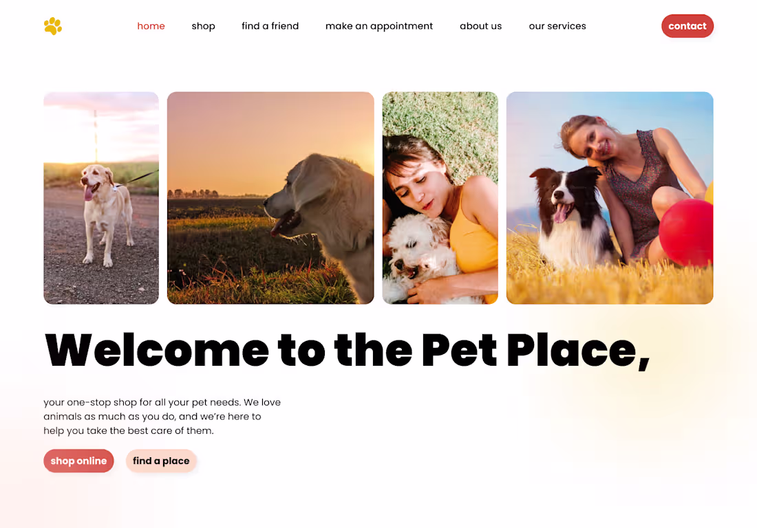Cover image for Website Design for The Pet Place