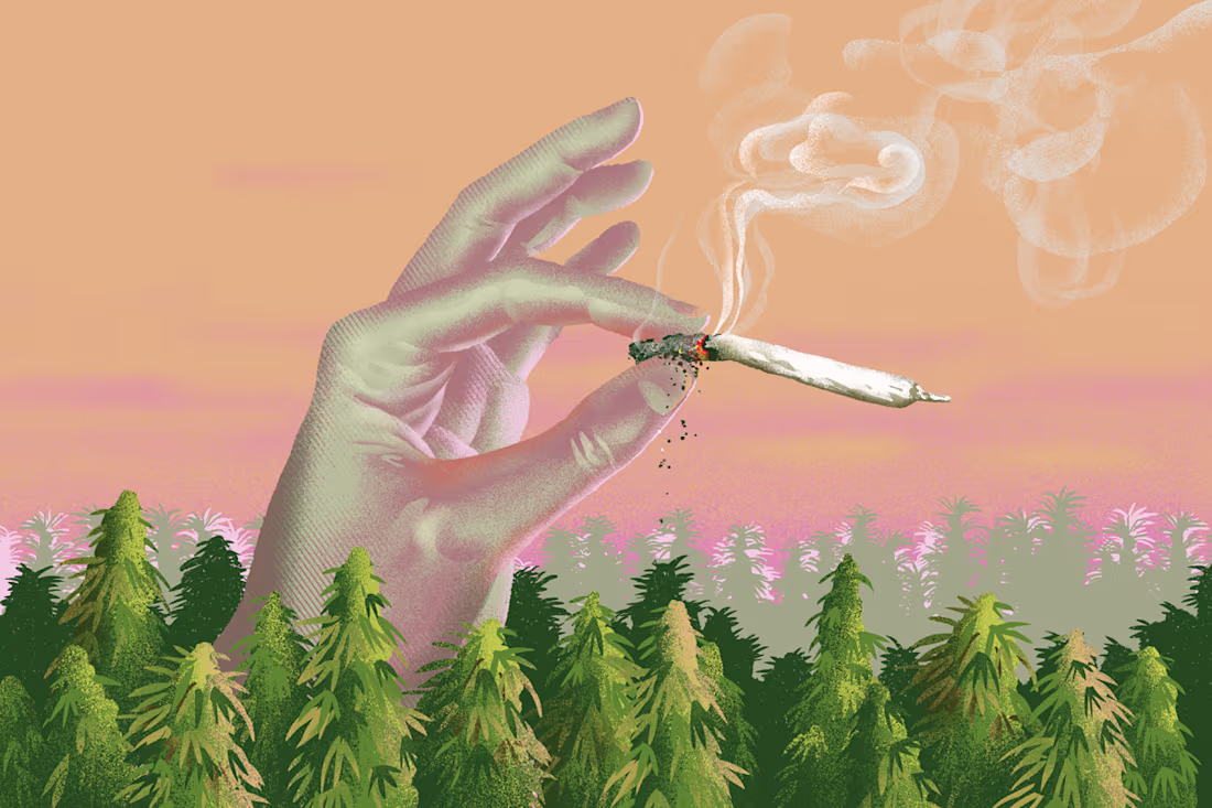 Cover image for What Do You Do with a Billion Grams of Surplus Weed?