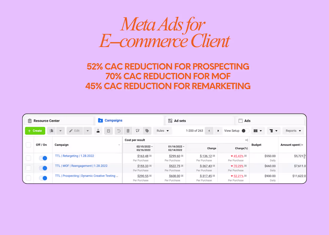 Cover image for Meta Ads for E-commerce Subscription Box Brand