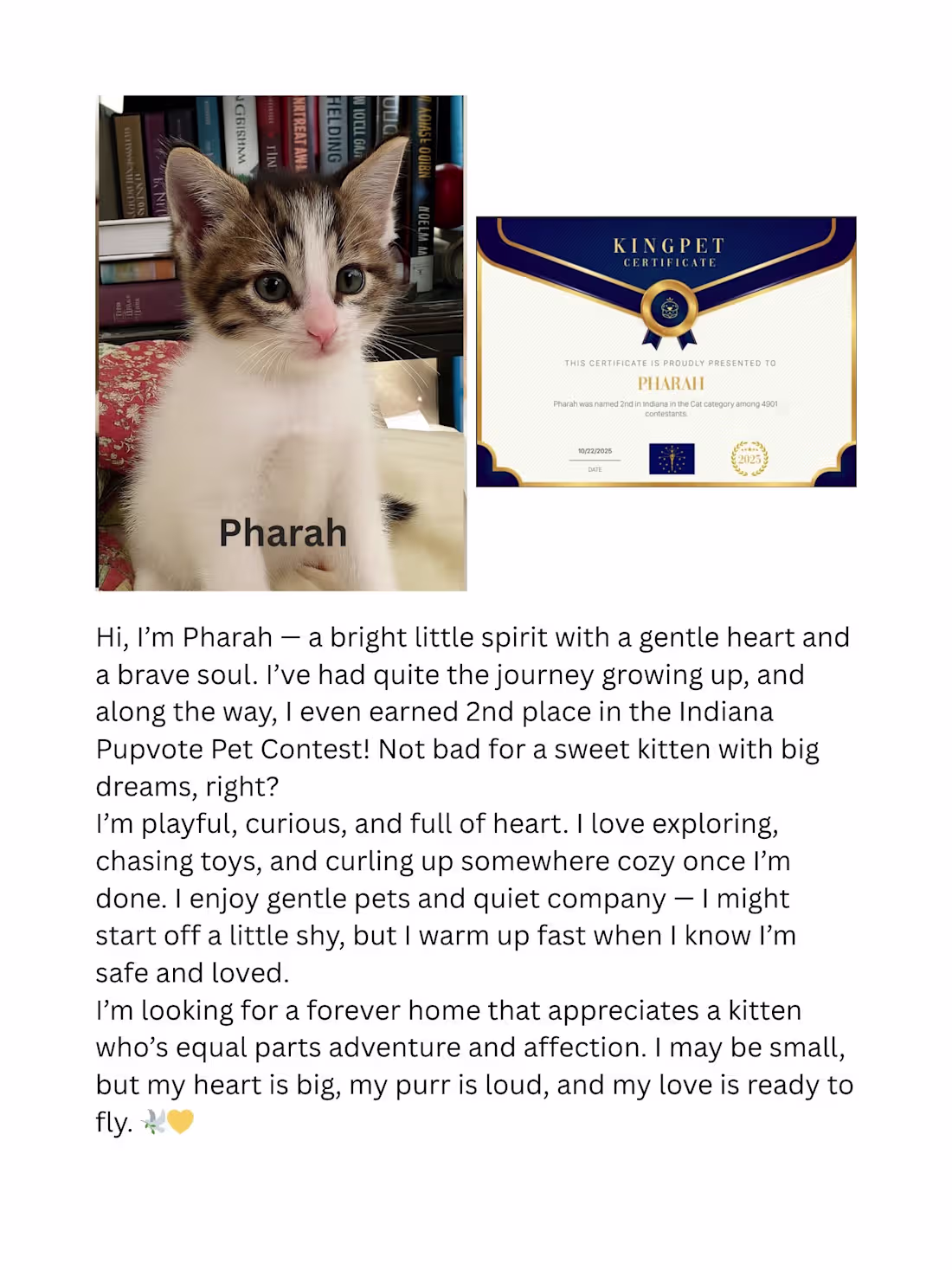 Cover image for Wrote narrative-driven promotional copy paired with visual a...