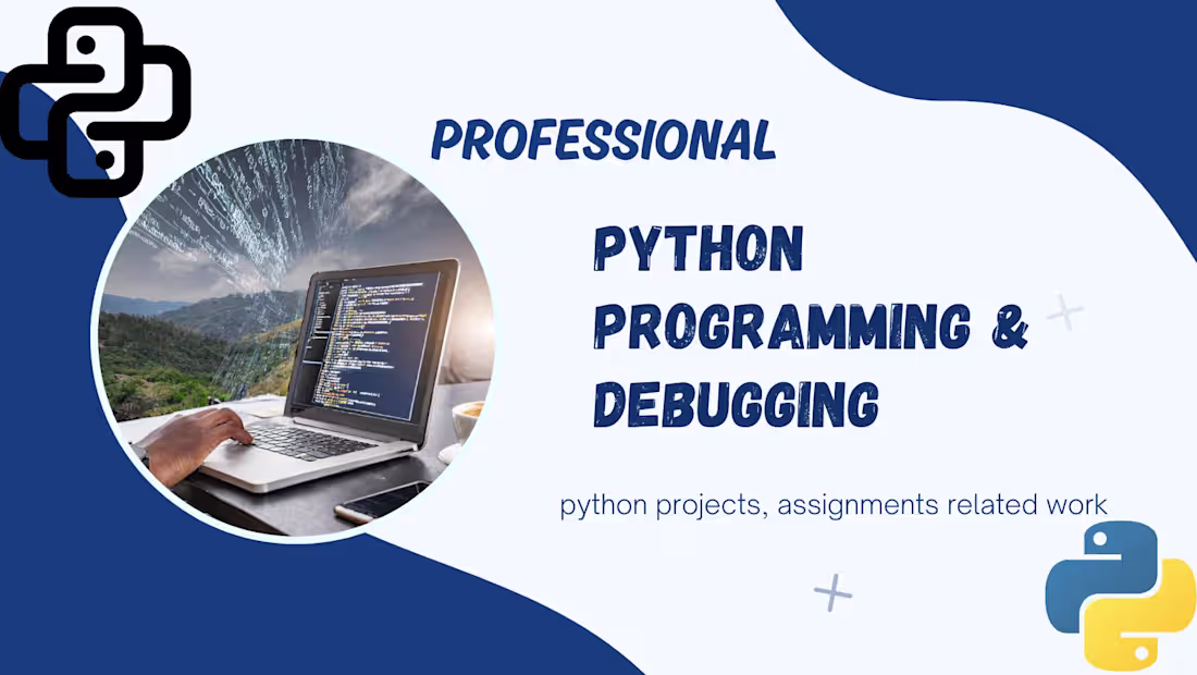 Cover image for Python programming and debugging