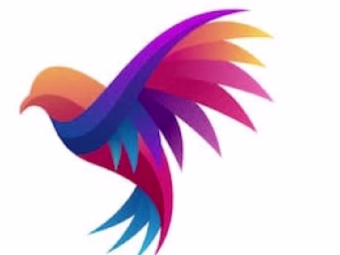 Cover image for fashion and functionality