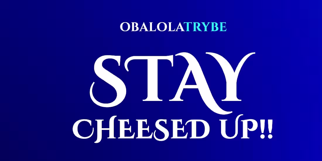 Cover image for Stay Cheesed Up