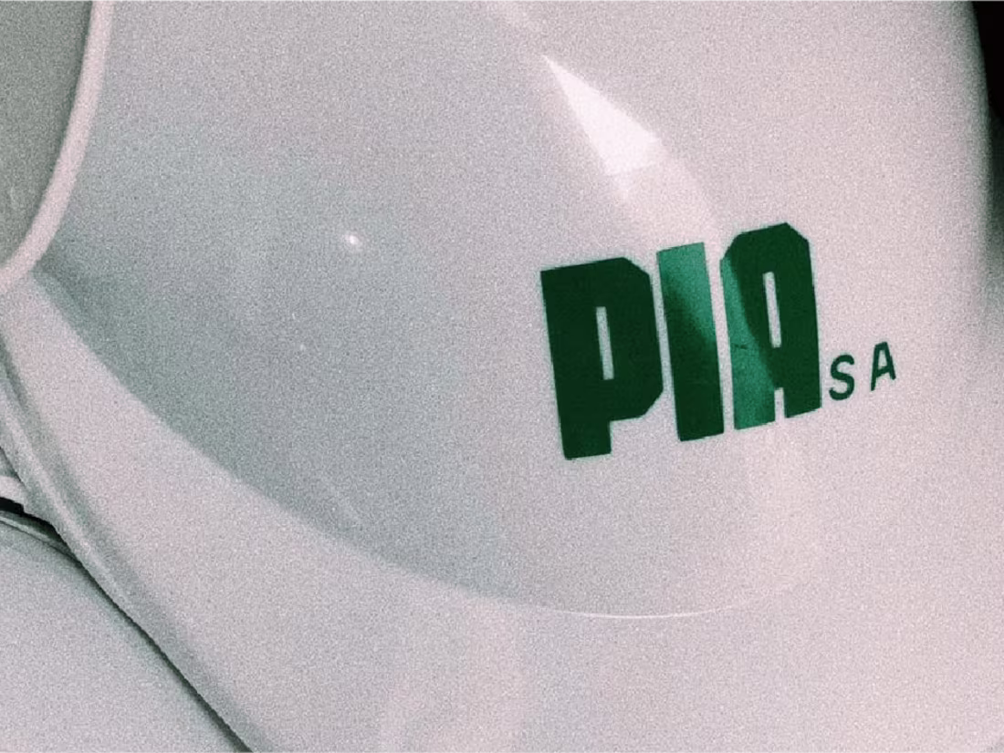Cover image for Pia S.A - Branding