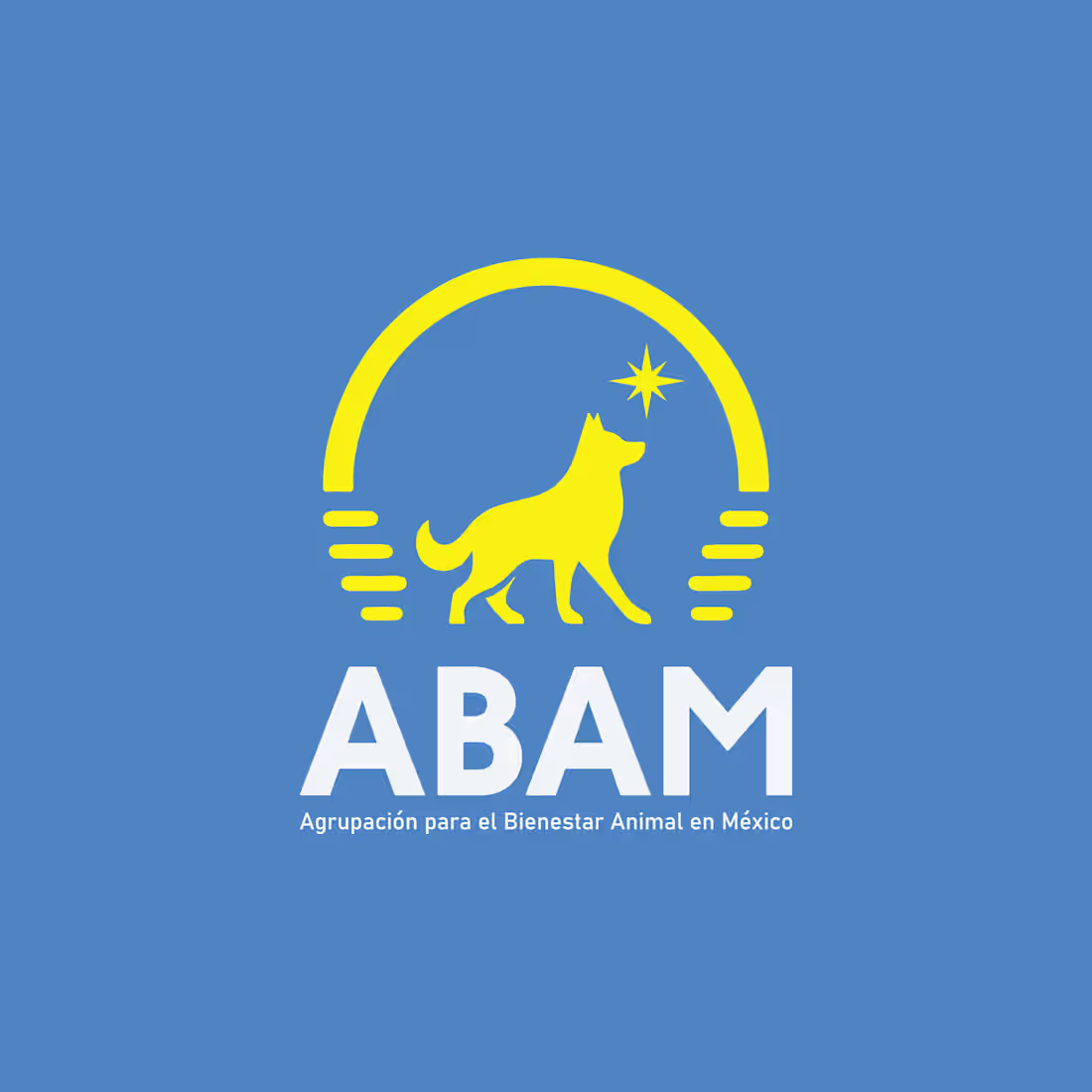 Cover image for ABAM - Capstone Project