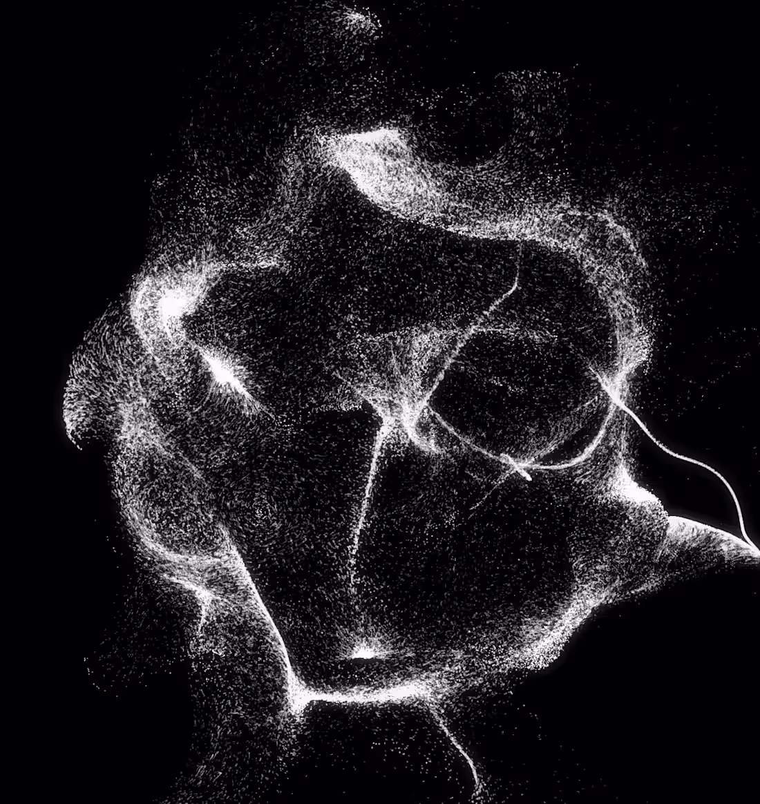 Cover image for Interactive Website Design / Website Design