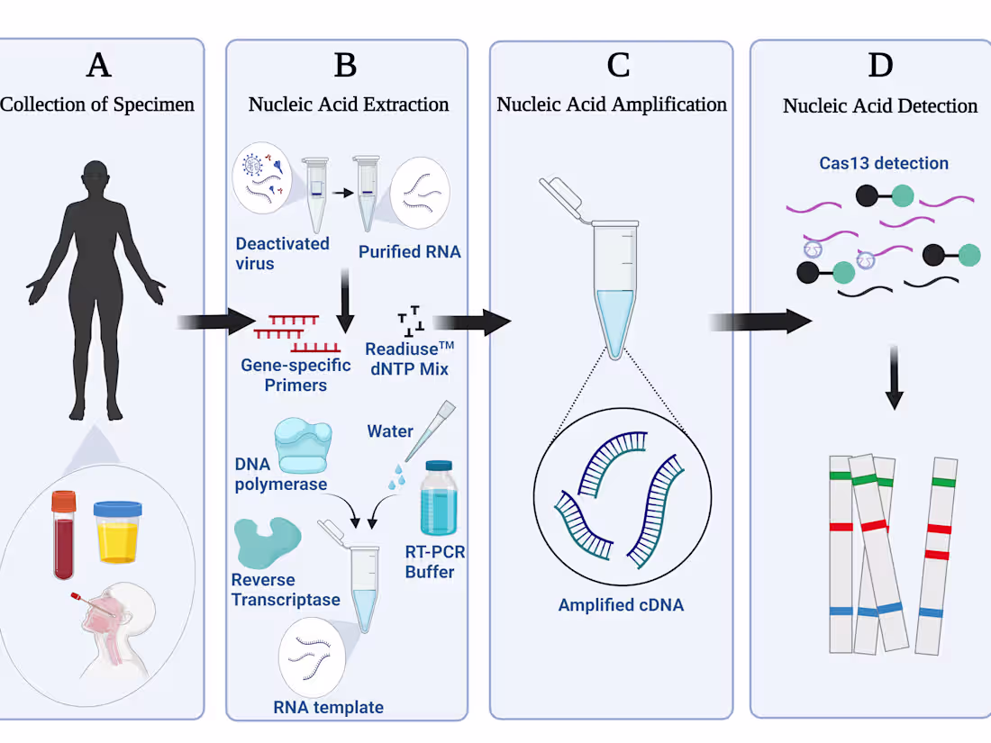 Cover image for CRISPR-based biosensor for the detection of Marburg & Ebola