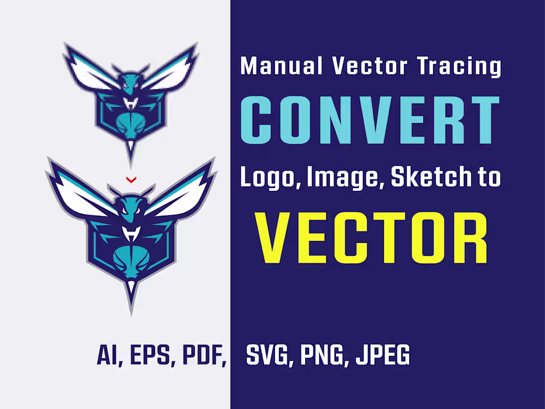 Cover image for High-Quality Manual Vector Tracing &