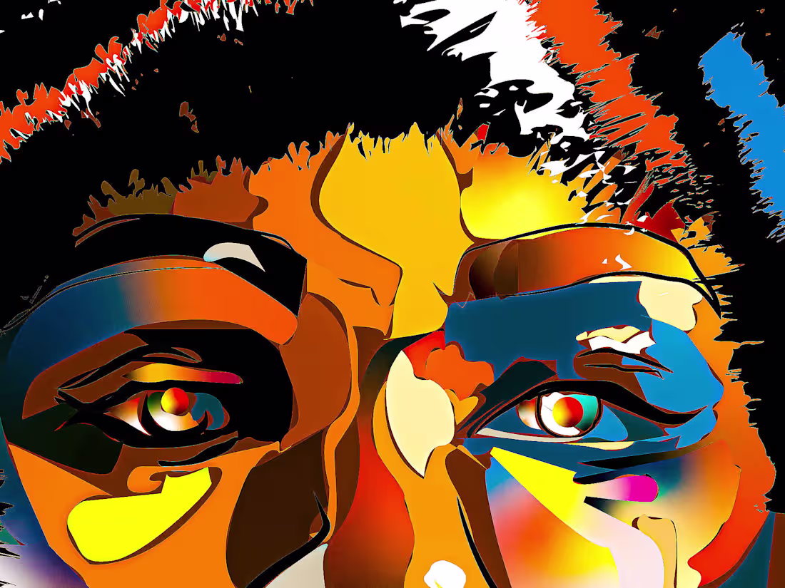 Cover image for Designer