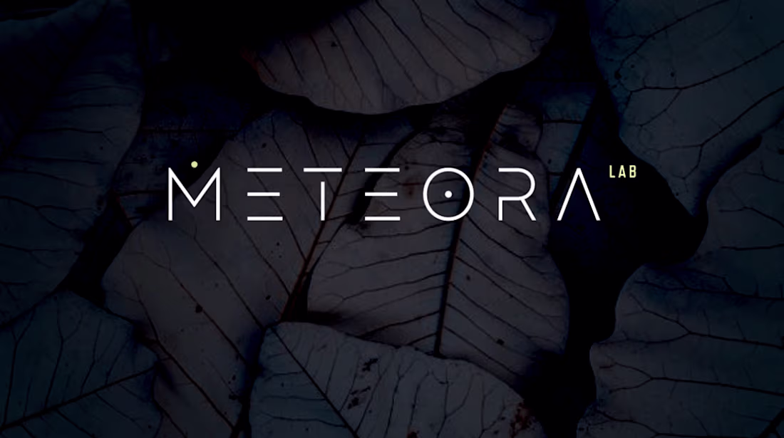 Cover image for Brand Messaging and Campaign Voice for Sustainable Apparel