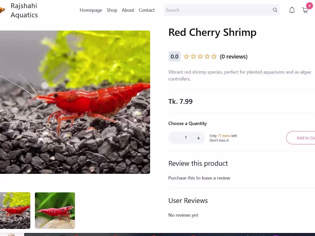 Cover image for E-commerce Website Development